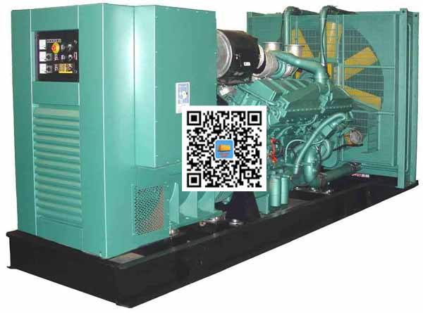 兴安笼型异步发电机的电力电子控制技术